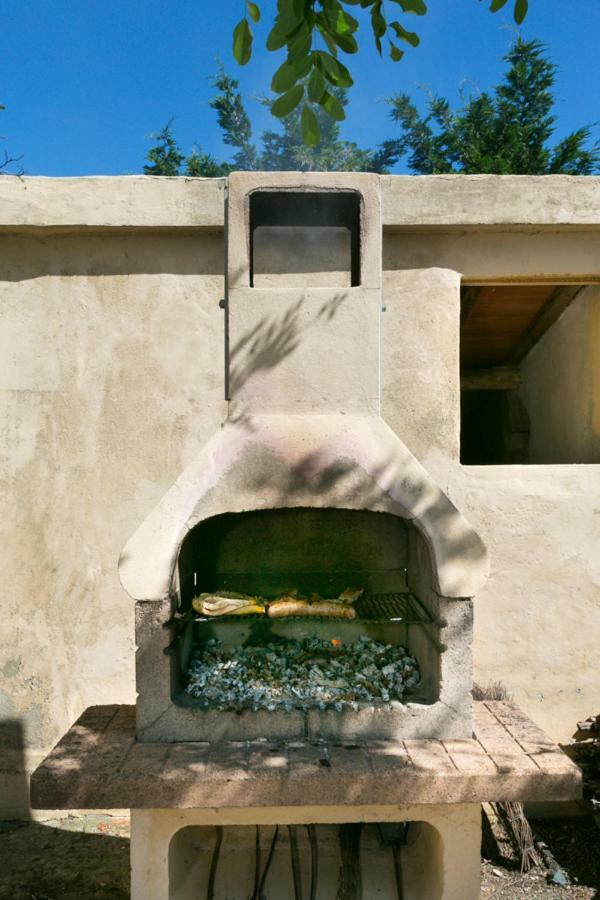Farm stay Nuove Castellina Marittima